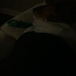 Meet your Posher, Jacob